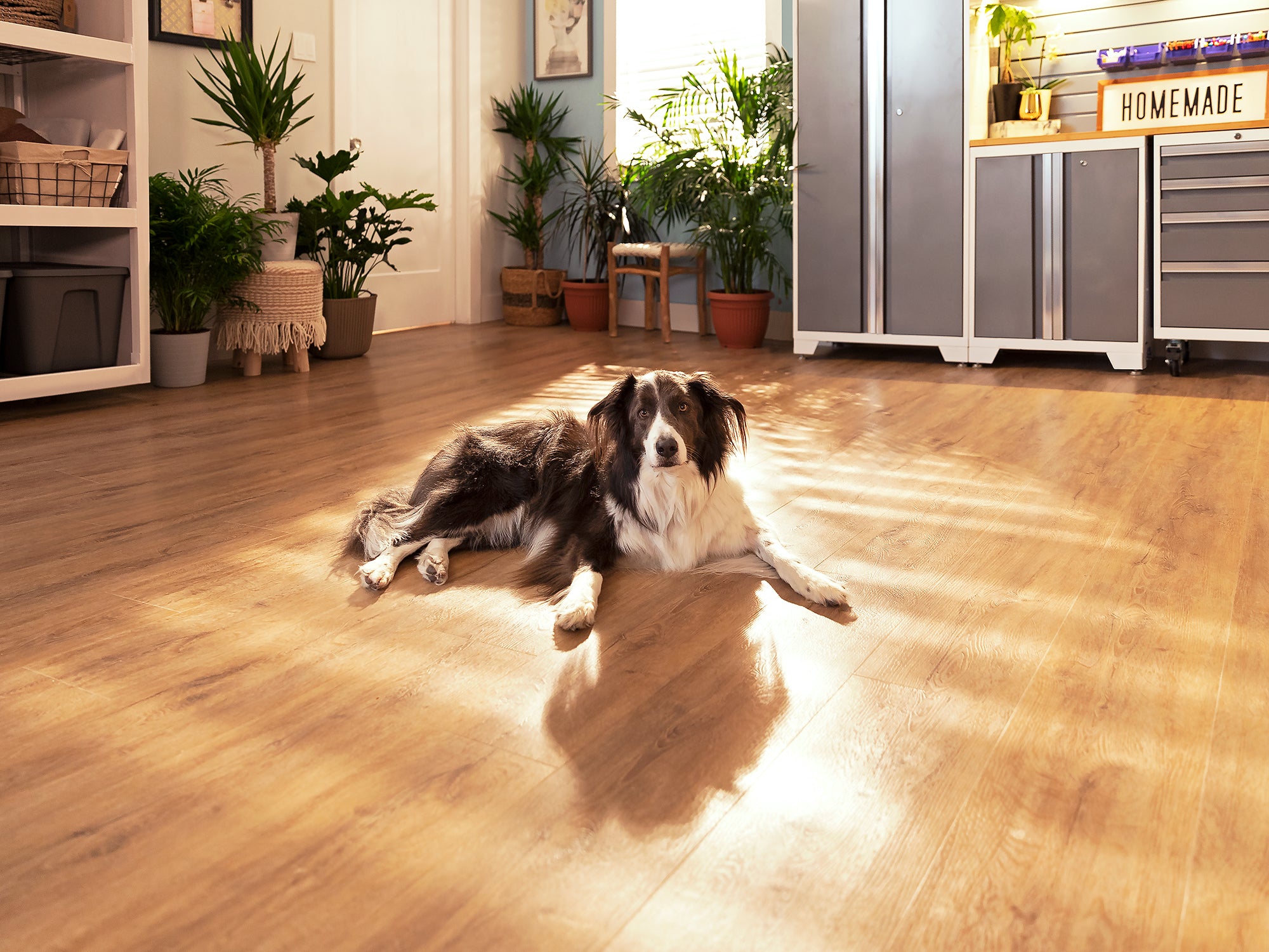 Stone Composite LVP Flooring 9.5mm 1000 sq. ft. Flooring Kit