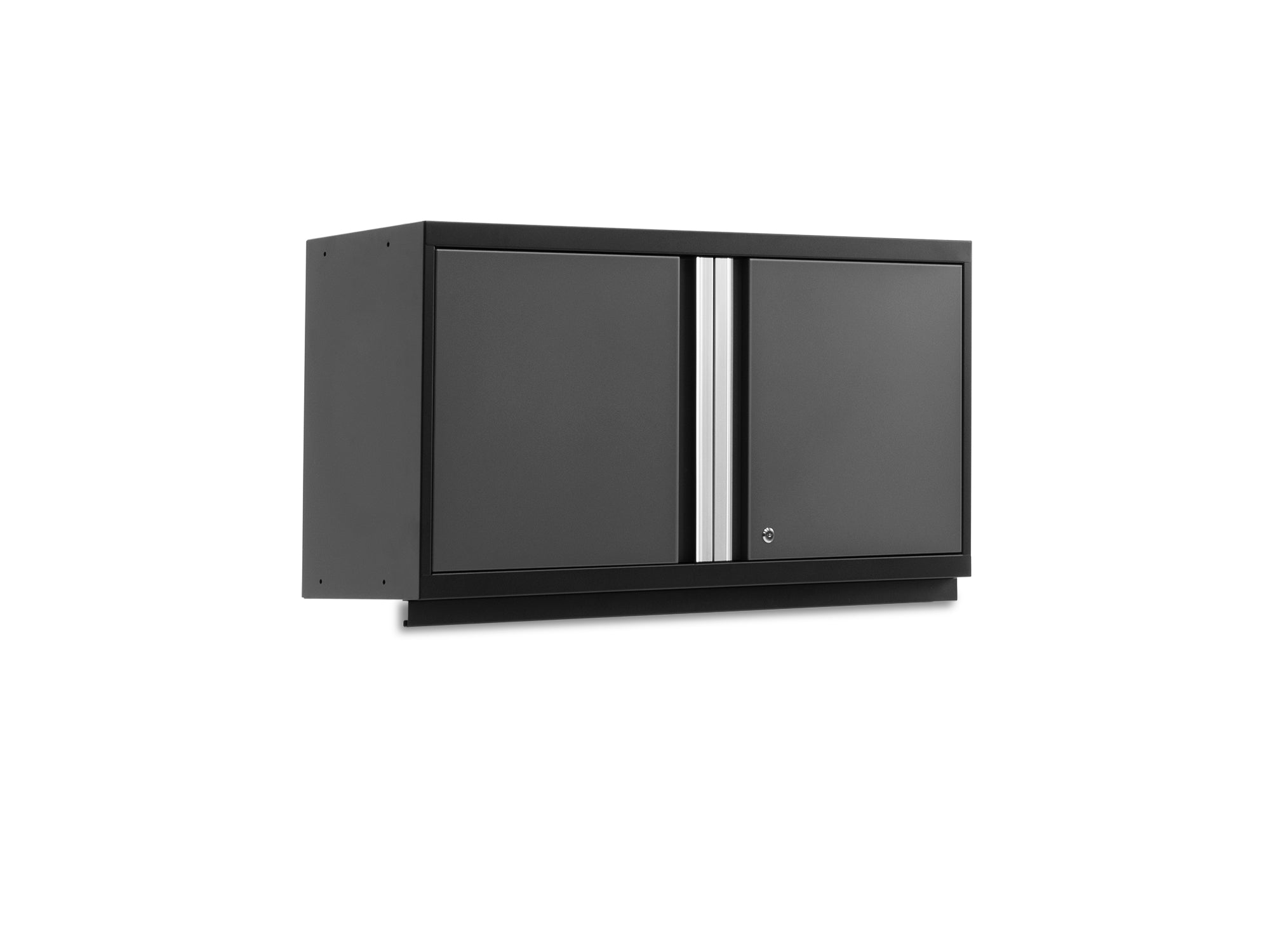 Pro Series 42 in. Wall Cabinet