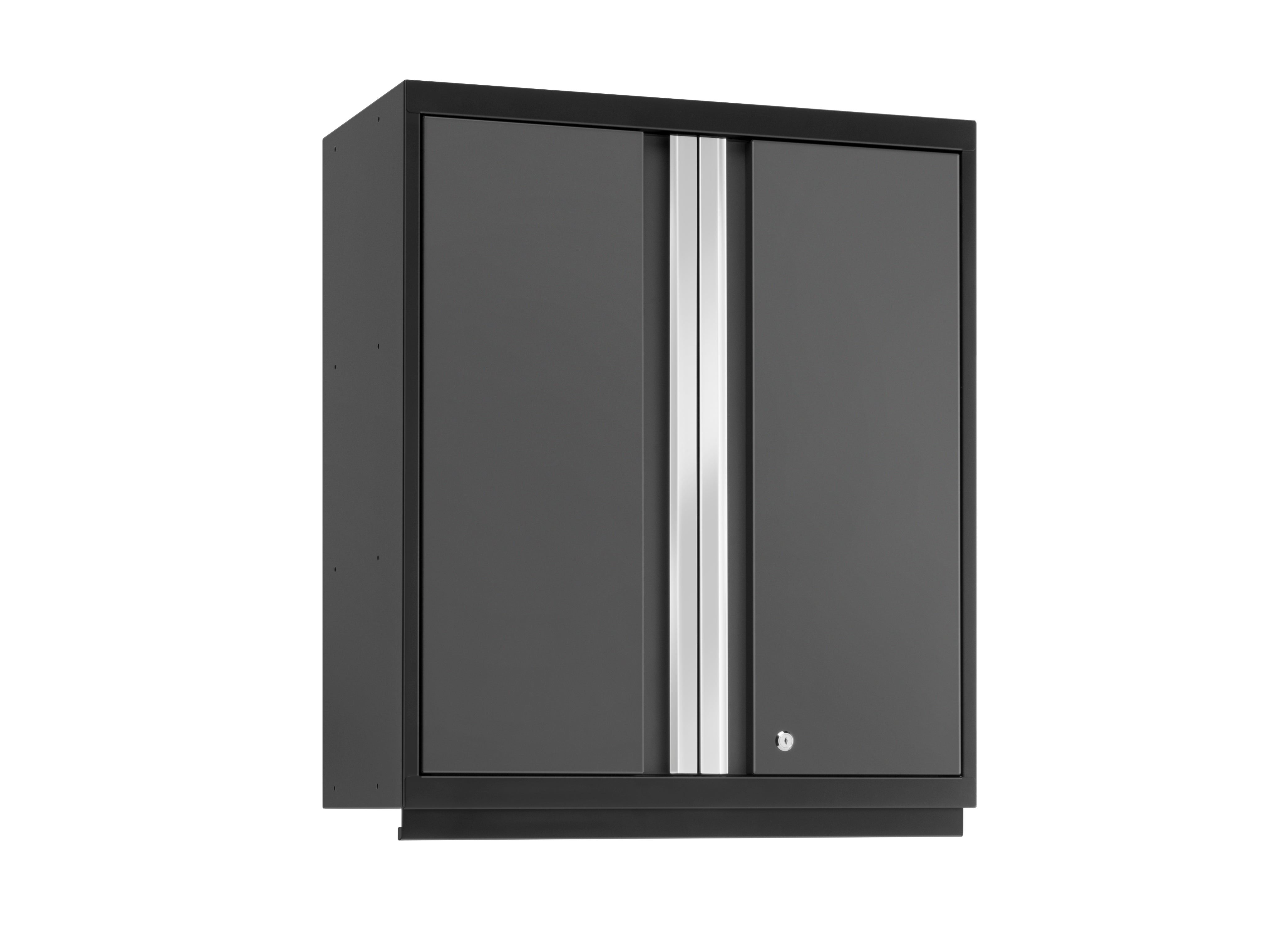 Pro Series Tall Wall Cabinet