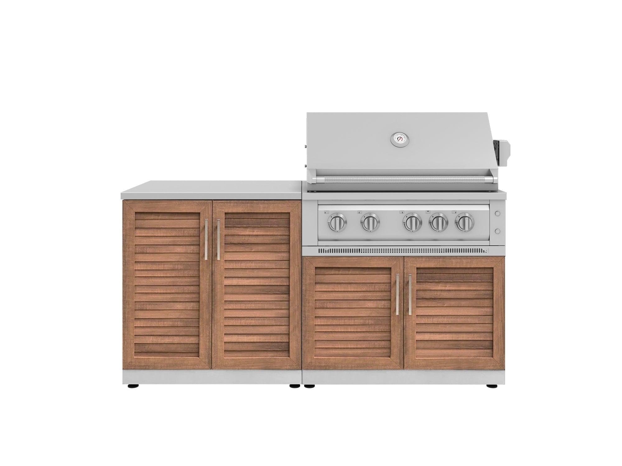 Outdoor Kitchen Stainless Steel Louvered Doors 4 Piece Cabinet Set with 2 Door, Grill Cabinet, Platinum Grill and Countertop