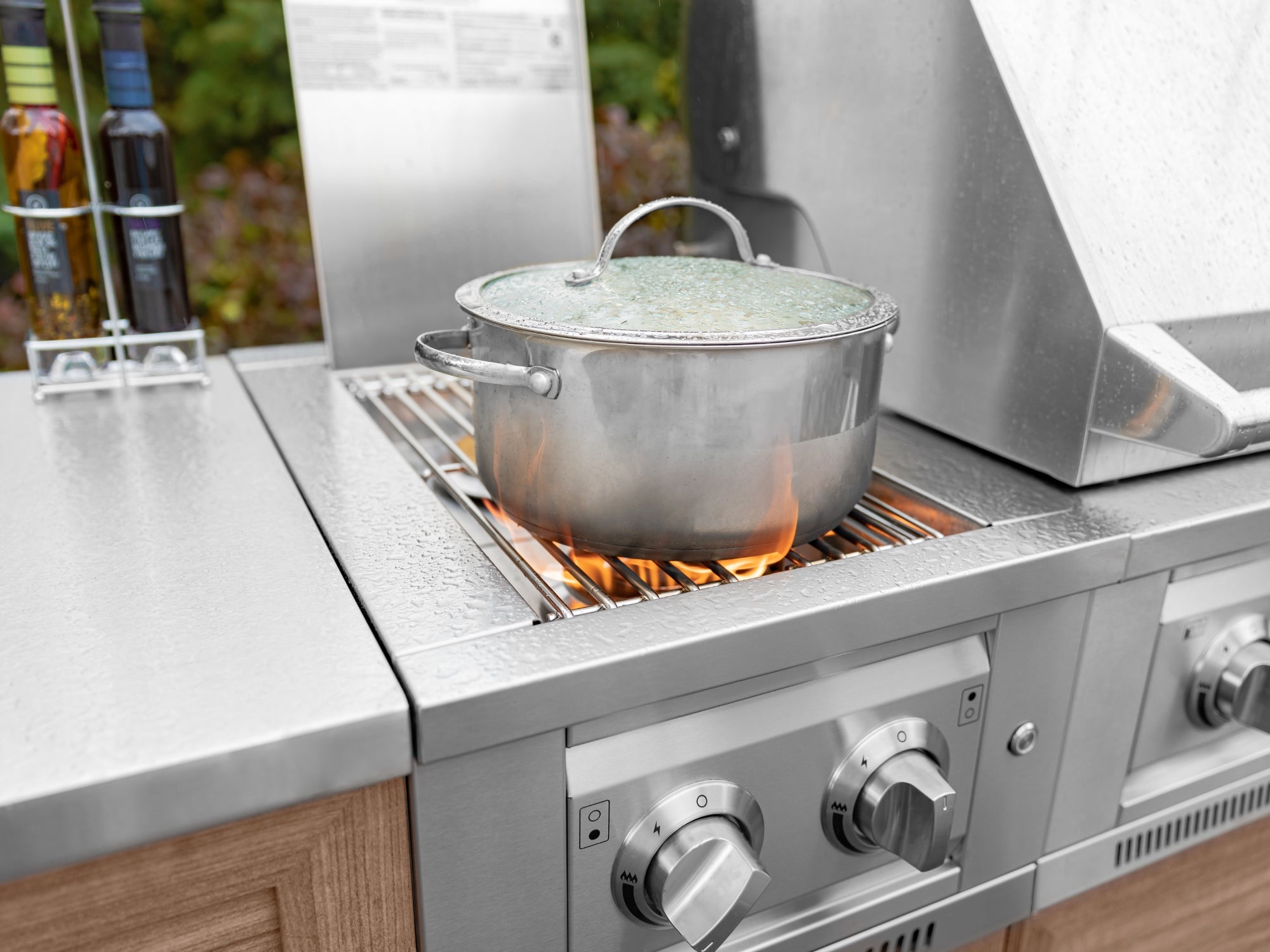 Outdoor Kitchen Stainless Steel Platinum Dual Side Burner with Cart and Casters