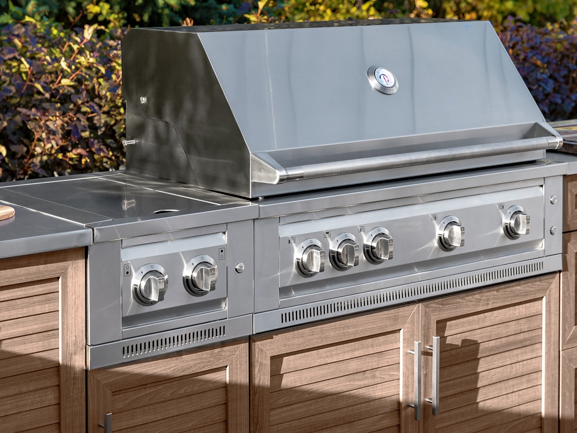 Outdoor Kitchen Stainless Steel Platinum Dual Side Burner with Cart and Casters
